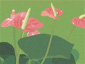 Desktop Picture 2