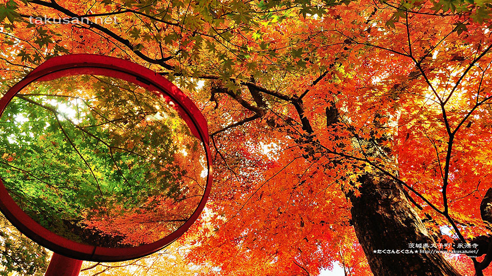 茨城県大子町 永源寺の紅葉 写真の壁紙 秋 和風 和柄 日本的 テイストなpcデスクトップ壁紙 画像集 画像大量 Naver まとめ