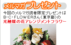 プレゼントは光触媒の花アレンジメントフラワー