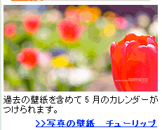 写真の壁紙