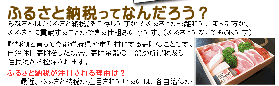 ふるさと納税とは