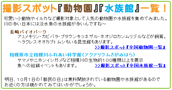 撮影スポット動物園水族館