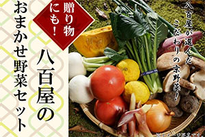 京都地野菜