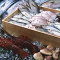 魚祭り・海産まつり一覧