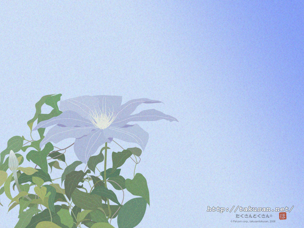 クレマチスの壁紙