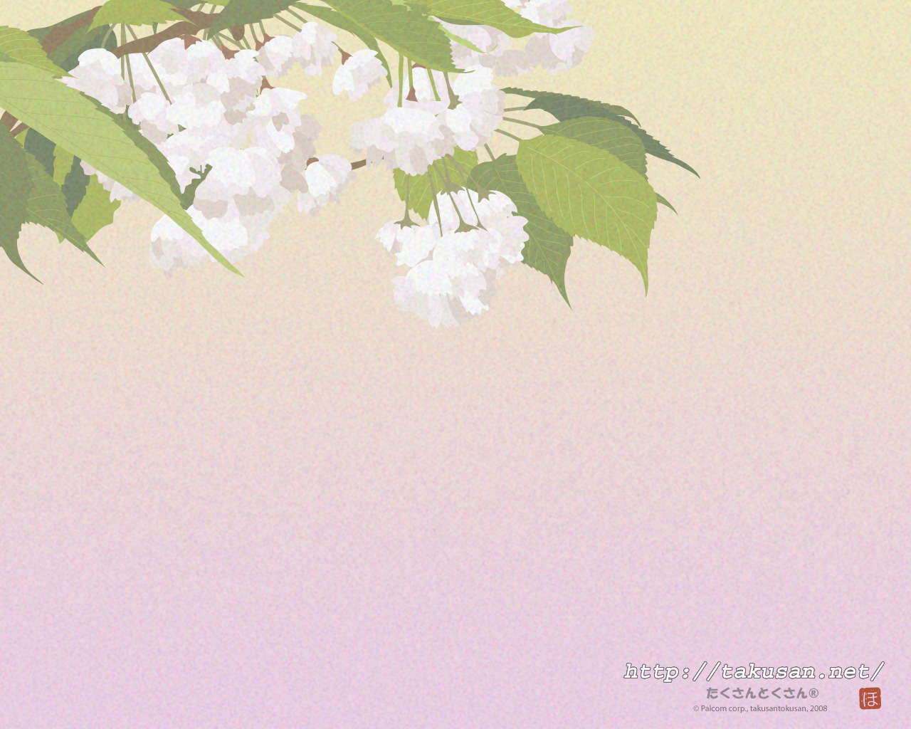 八重桜の壁紙