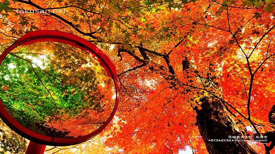 茨城県大子町・永源寺の紅葉の壁紙
