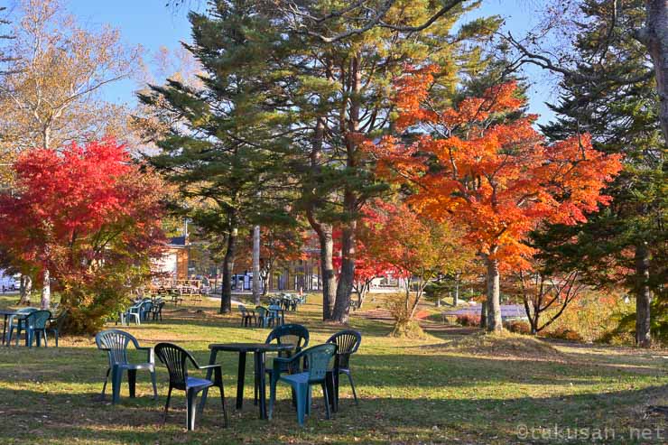 蓼科湖畔の様子1