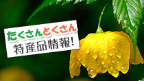 最新メルマガ
