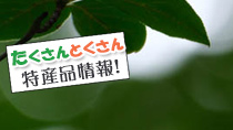 最新メルマガ