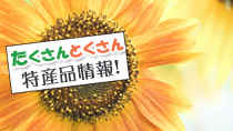 最新メルマガ