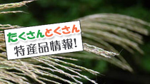 最新メルマガ