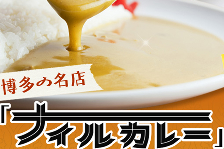 福岡県益正本舗のナイルカレーレトルトセット