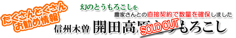 開田高原とうもろこし